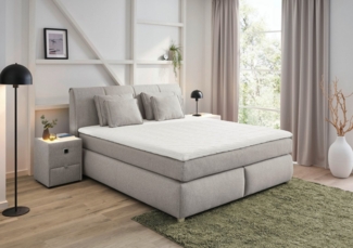 Jockenhöfer Gruppe Boxspringbett "Carla", OTTOs Choice! Topseller, wahlweise mit oder ohne Bettkasten, inkl. 4 Kissen, erhältlich in den Breiten 160 & 180cm