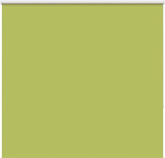 vidaXL Verdunkelungsrollo Grün 150x175cm Stoffbreite 146,6cm Polyester 4011294