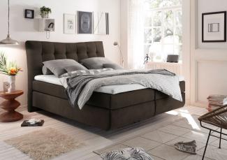 Boxspringbett Malibu 1 braun 180x200 cm inkl. Topper Bett Doppelbett Polsterbett