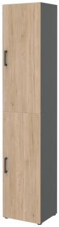 Aktenschrank in Hickory - 40x212,5x34,4cm (BxHxT)