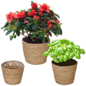 Seegras Blumentopf 3er Set 10048141