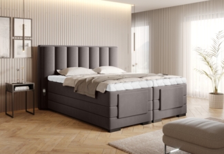 Veros 140x200, Boxspring Bett, Grau