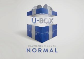 Excellent Daunenbettdecke Überraschungsbox, Füllung: 90% Daunen, 10% Federn, Bezug: Baumwolle, absoluter Sonderpreis, wegen Lagerräumung, Solange der Vorrat reicht