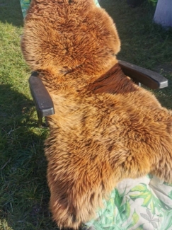 Provellus Fellteppich Lammfell Schaffell Gold Braun Dichte Wolle Unikat L-XXL, 100-110 cm x 50-60 cm