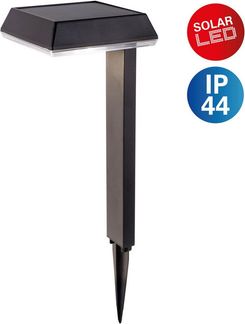 näve LED Solarleuchte Sigi, Tageslichtsensor, LED fest integriert, Warmweiß, Dekoerdspieß, H: 79cm, Dämmerungssensor, schwarz, LED warmweiß
