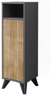Midischrank Leano Anthrazit/Bergeiche 30 x 97 cm mit Tür Vicco