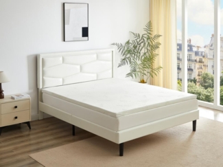 Vente-unique - Matratzenauflage Topper - 160 x 200 cm - Memory Schaum - 1 Zone - Stärke 5 cm - Aloe Vera-Bezug - LACETO von NATUREA