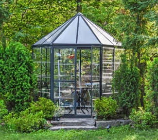 Palram - Canopia Aluminium Gewächshaus Oasis |