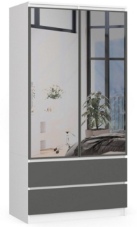 Raumhirsch Furniture Kleiderschrank Moderner Kleiderschrank 90 cm - Viel Stauraum - 2 Türen mit Spiegel Modernes Design in Weiß & Grafitgrau, perfekt für kleine Räume
