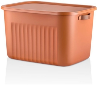 Luxury Bites Aufbewahrungsbox mit Deckel, 20L-15L -10L BPA-freie Kunststoff, nestbar und stapelbar (6 Farben, 9 Farbkombiationen, 3er Set)