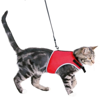 TRIXIE Geschirr Trixie Katzen-Softgeschirr mit Leine