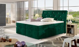 Wohnideebilder Balvin 160X200 Dunkelgrün Boxspringbett Bln_03_1.6