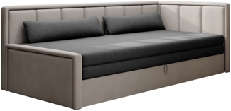 Fulgeo, Sofa, Couch, Grau