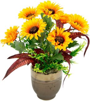 Gestecke Sonnenblumen Sonnenblume, I.GE.A, Höhe 40 cm, Im Topf aus Keramik