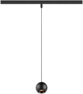 SLV LIGHT EYE® 2.0, 48V Pendelleuchte, DALI, Pendellänge 200 cm, 2700K, 30°, schwarz - Leuchten mit 3 Phasen Adapter 48V