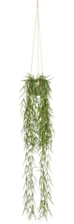 Kunstranke Tillandsia aeranthos im Hängetopf Sukkulente, Creativ green, Höhe 90 cm, im Hängetopf aus Kunststoff