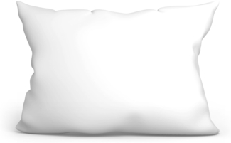 Amazinggirl Kopfkissen 30x50 cm - Kissen Allergiker Schlafkissen Polster Pillow Made in EU und Pillows for Sleeping 50x30 Bett Kissens für Schlafen Oeko-Tex Weiß