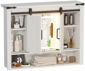 TWSOUL Spiegelschrank Wandschrank mit höhenverstellbaren Regalen, LED-Beleuchtung 3-türig Breite 80cm, mit Schiebetür Aufbewahrung für Bad und Wohnbereich