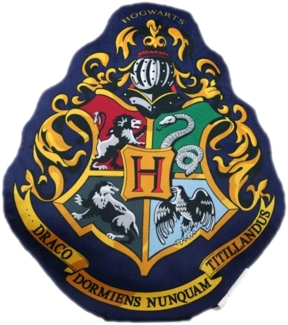 Harry Potter Formkissen – Gemütliches Kuschelkissen für Bett & Couch