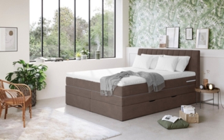 COTTA Boxspringbett Shark inkl. Bettkasten und Topper, erhältlich in den Breiten 140x200cm, 160x200cm und 180x200cm