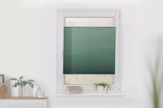 Lichtblick Plissee Nizza Salbei Tageslicht; einfache Installation mit Klemmträgern; verspannt, (L x B), 210,0 cm, 70,0 cm