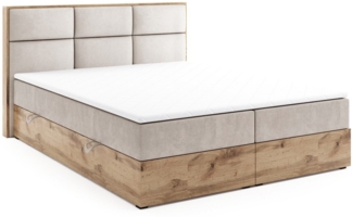 Labett Boxspringbett aus Holz im Loft-Stil LOLY 140x200 160x200 180x200 200x200 (2 Bettkästen, Topper), 7-Zonen Taschenfederkernmatratze H3 oder H4
