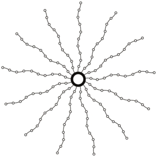 Sirius Knirke Weihnachtsbaumlichter 195L Klar/Grün