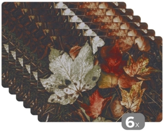 MuchoWow Platzset Herbstblätter - Herbst - Jahreszeiten - Natur, (6-St), Platzsets, Tischset, Abwaschbar, Tischsets, Platzdeckchen