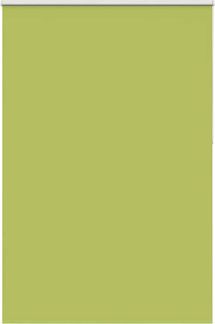 vidaXL Verdunkelungsrollo Grün 150x210cm Stoffbreite 146,6cm Polyester 4011320