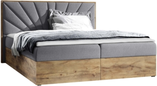 Boxspringbett Worik VII, Grau, 160x200 cm