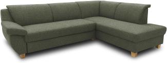 DOMO Collection Ecksofa Panama, klassisches Ecksofa in L-Form, Eckcouch, Sofa Couch, Ecke mit Schlaffunktion 254 x 186 cm in grün