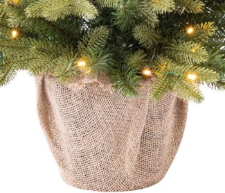 Evergreen Aspen M+ | mini Weihnachtsbaum mit
