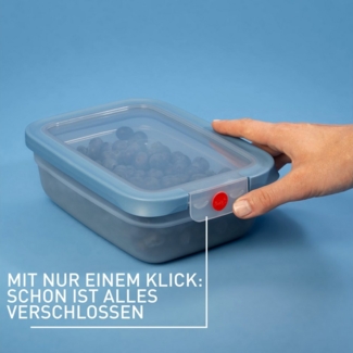 Emsa Frischhaltedose oneClick, Polyprophylen (PP), (1-tlg), verschlossen mit nur 1 x Klick, 100% dicht, made in Germany