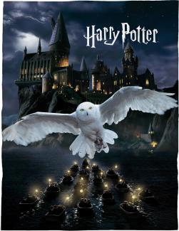 Harry Potter Kuscheldecke für Kinder und Teenager mit Eule Hedwig | Große Tagesdecke 150x200 cm