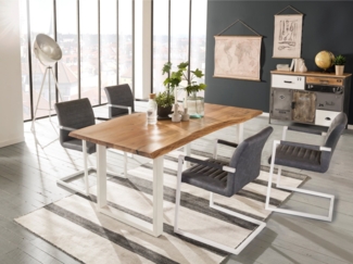 Essgruppe Picton grau/weiß