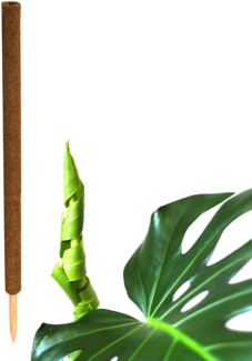 BigDean Pflanzstab Kokos 110 cm - Monstera Rankhilfe Rankstab Stab Moosstab Pflanzenstab Kokosstab für Pflanzen - aus natürlicher Kokosfaser - verlängerbar