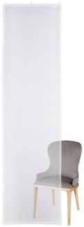 Brilliant Schiebegardine / Raumtrenner / Flächenvorhang / Transparent / 60x245cm, Store
