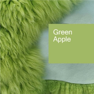 Provellus Fellteppich Top Öko Lammfell Schaffell Felle Green Apple Grün L-XL, 80cm - 100cm