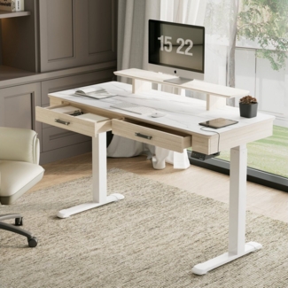 EE EUREKA ERGONOMIC Schreibtisch Höhenverstellbarer Computertisch Elektrisch Doppelmotor Ergonomischer, 140x60cm APP-Steuerung Großer Gamingtisch mit Doppelschublade Stehpult