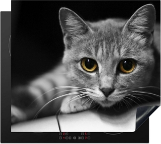 MuchoWow Herd-Abdeckplatte Katze - Tier - Makro, Vinyl, (1 tlg), Küche Herdabdeckplatte Ceranfeld Vinyl Einteilig, 59x52 cm
