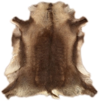 KUHFELL online & NOMAD Fellteppich Echtes Rentier Fell Dekofell Grau Beige Natur ca. 120x100 cm