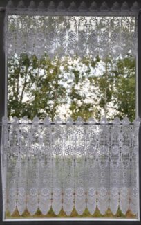 Stickereien Plauen Scheibengardine Blumenpanneau, Stangendurchzug (1 St), transparent, mit echter Plauener Spitze Stickerei