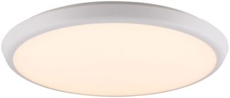 LED Deckenleuchte, Opal, weiß, IP65