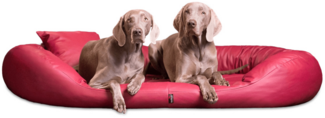 SAMMY EASY CLEAN Orthopädisches Hundebett - 04 Dunkelrot, 140x105cm