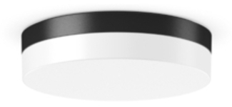 RZB LED-Wand u.Deckenleuchte 830/840, ML, anthr. 312630.0031