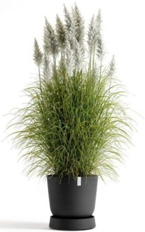 ECOPOTS Topfuntersetzer mit Rollen Oslo 45 Dunkelgrau, Zubehör für Ecopots Pflanzgefäße, für innen und außen: frostsicher, bruchsicher und lichtbeständig