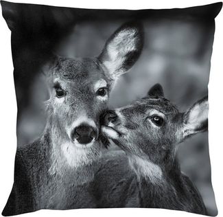 queence Dekokissen Rehkitz mit Mama, Kissenhülle mit HD Premium Druck, geruchsneutral, 40x40 cm