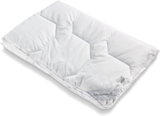 Traumhaft gut schlafen, Steppbett mit Microfaserbezug, allergikergeeignet : 240x220 cm Steppbett