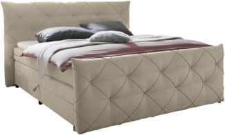 Boxspringbett >Villano< Liegefläche 180x200 cm, GEL-Topper, Creme - 231 x 203 x 114 (LxBxH)