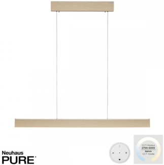 Paul Neuhaus 2570-60 PURE E-MOTION LED Pendelleuchte messing matt höhenverstellbar